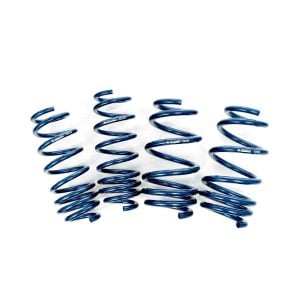 Tesla Model 3 / Performance – Dual Rate Linear Lowering Springs Set